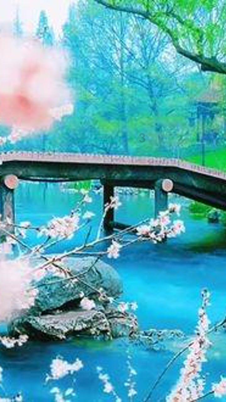 即时设计和xd对比